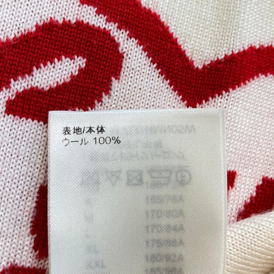 LOUIS VUITTON 【値下げ】LOUIS VUITTON×NIGO 22SS ロゴ  