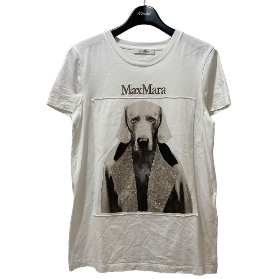 MaxMara♡dogTシャツグレー マックスマーラの70周年記念Tシャツが登場！ 大人のお洒落に効く1枚です