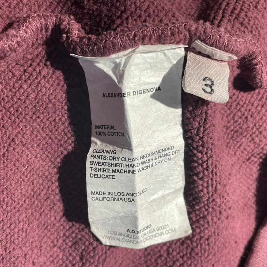 【値下げ】ALEXANDER DIGENOVA A NEW WORLD HOODIE パーカー ボルドー サイズ：3 (EC)の画像