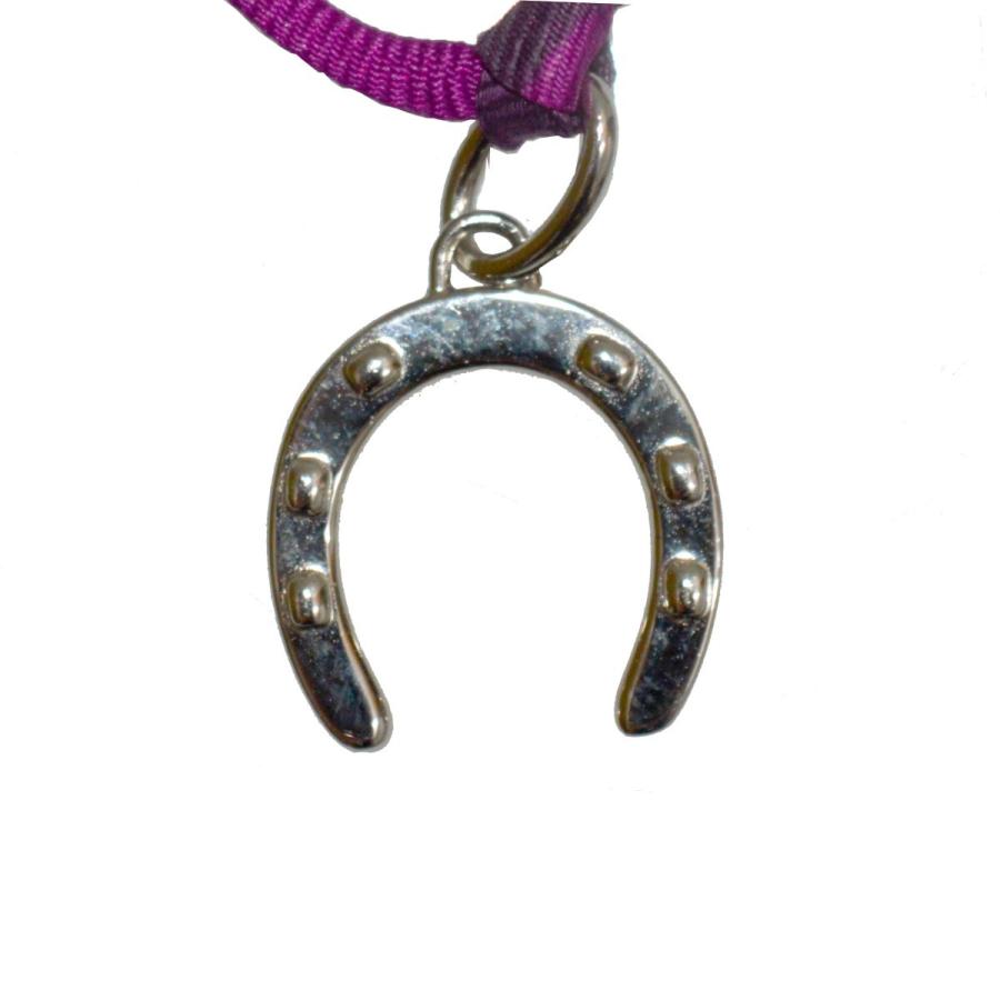 魅力的な価格 エルメス 堀江店 マルチカラー 馬蹄ネックレス Hermes Nc メンズアクセサリー Dagl Tg