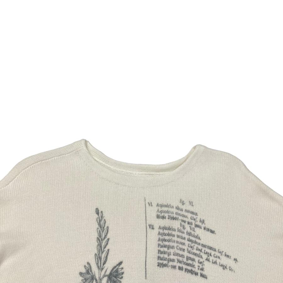Ameri 【値下げ】AMERI 2024SS VINTAGE ILLUSTRATION PRINT KNIT TOP 