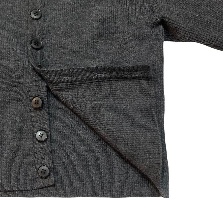 AURALEE（オーラリー） AURALEE SUPER FINE WOOL HIGH GAUGE RIB KNIT 