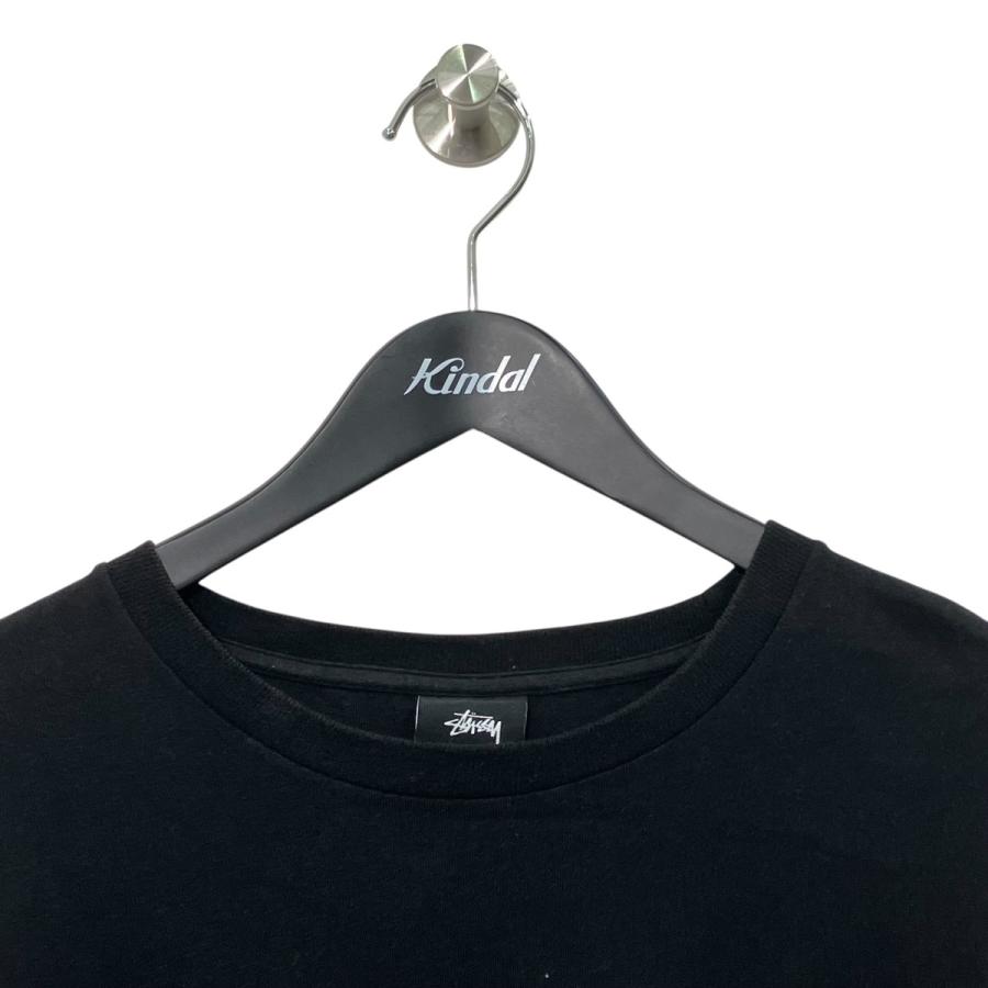 STUSSY（ステューシー） ロングスリーブTシャツ ブラック×ブルー