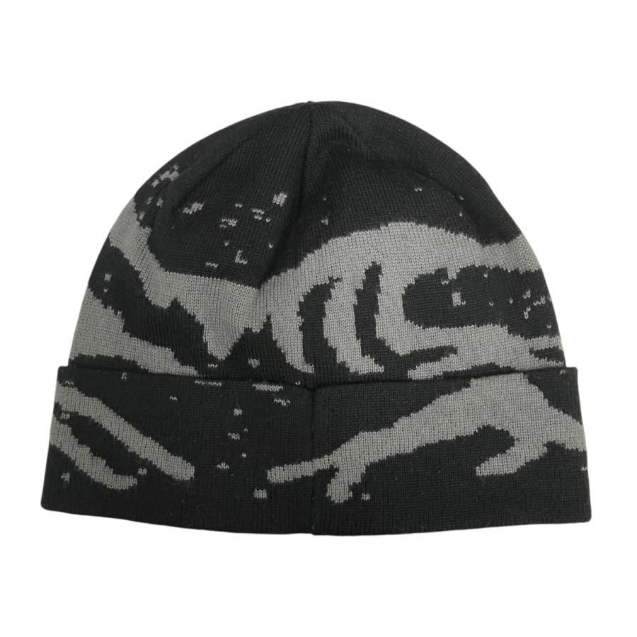ARC'TERYX（アークテリクス） ARC'TERYX ニット帽 X000010067 ブラック