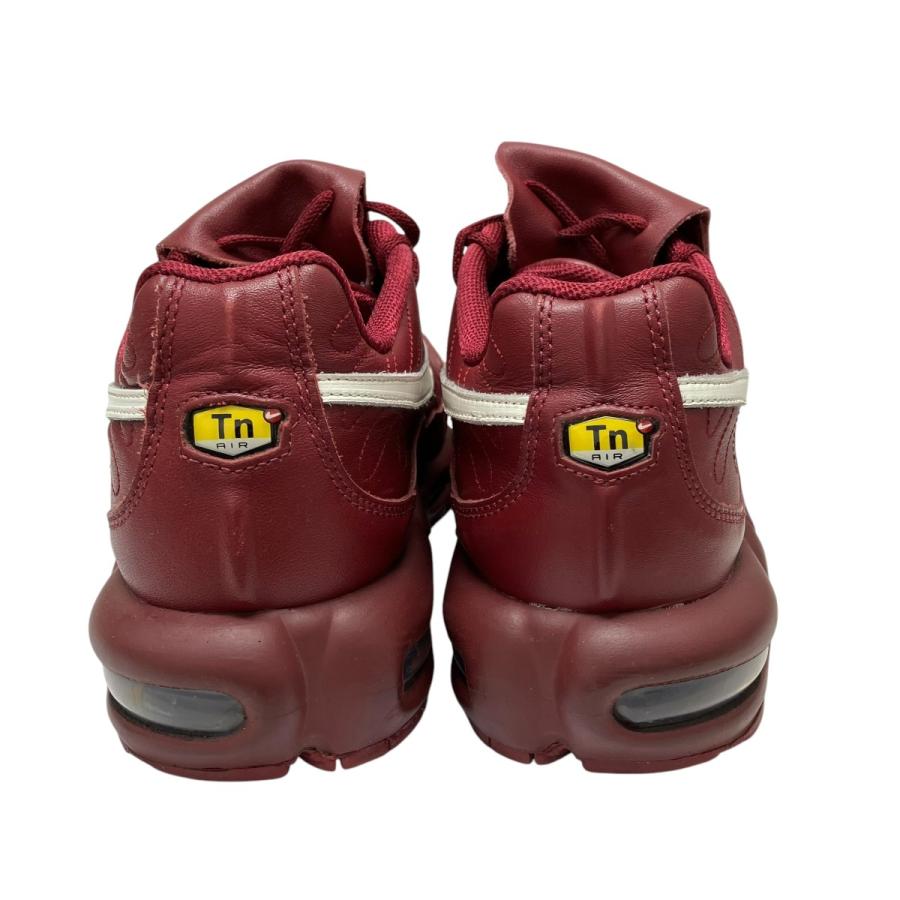 Nike Air Max Plus Tiempo 