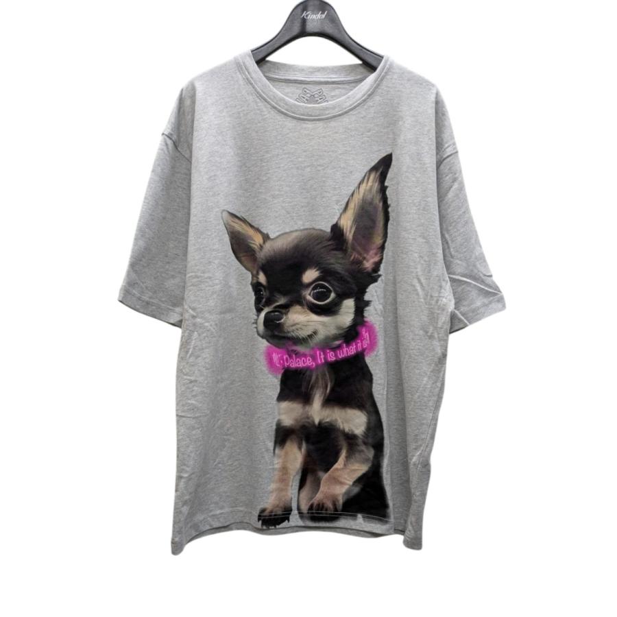 PALACE パレス YAPPY T-SHIRT 半袖Tシャツ グレー サイズ:L PALACE パレス YAPPY T-SHIRT 半袖Tシャツ グレー サイズ:L
