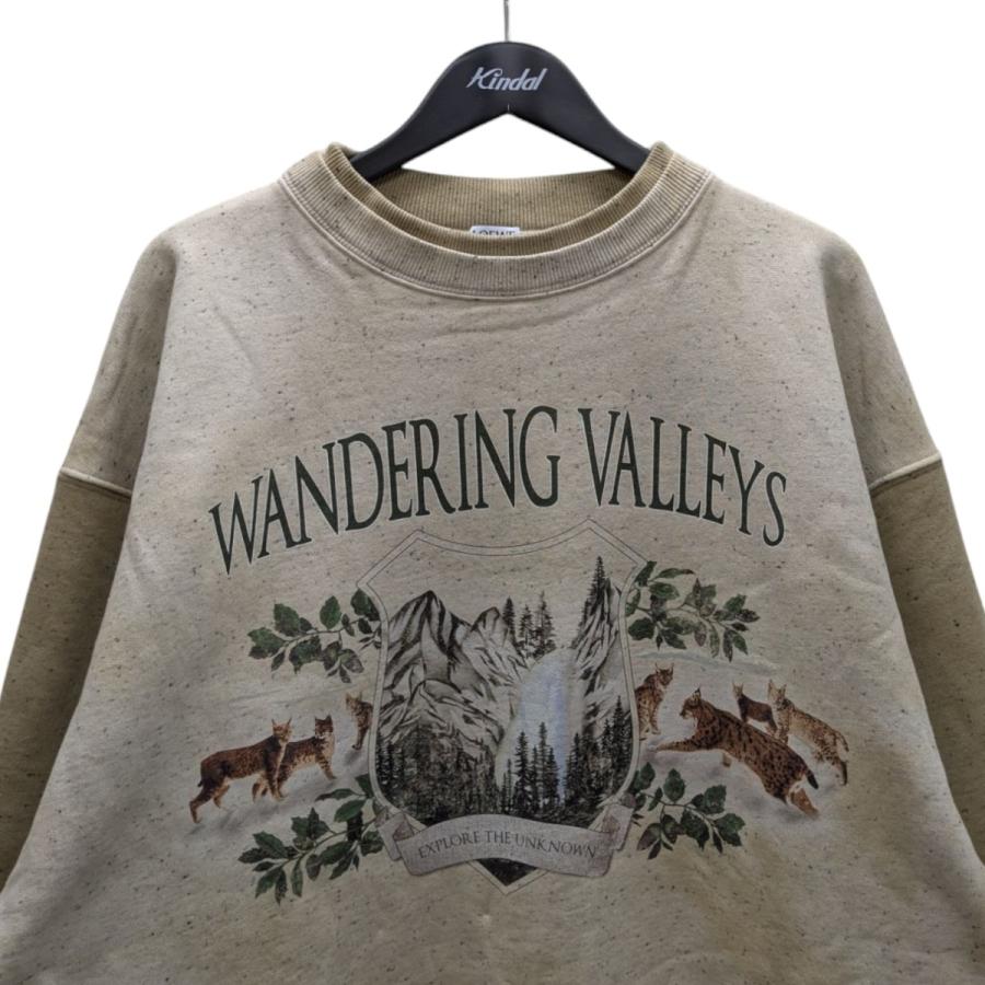 ロエベ サイズ:L  24AW  H526Y24X39 2870 ロゴパッチアートワークプリントスウェット 中古 SS13 LOEWE（ロエベ） 【値下げ】LOEWE 24AW ロゴパッチアートワーク