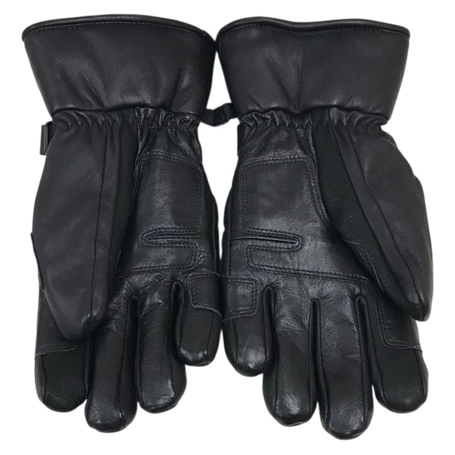 THE NORTH FACE（ザ ノースフェイス） レザーグローブ NN62115