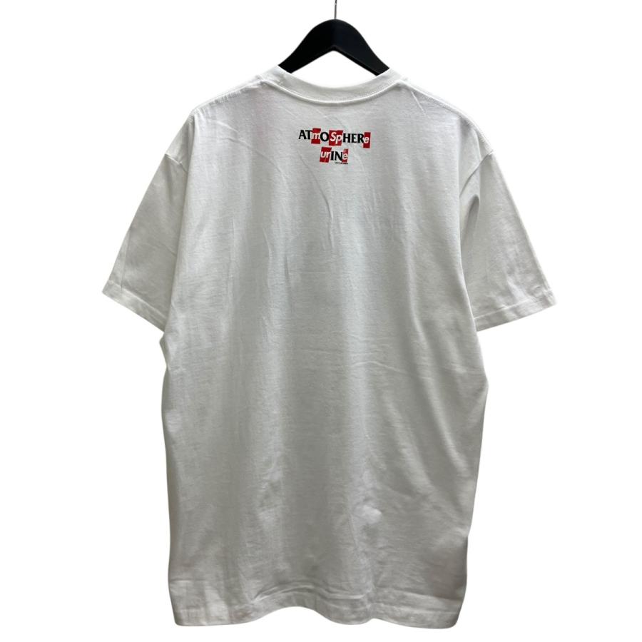 Supreme（シュプリーム） Supreme ANTIHERO ICE Tee プリントTシャツ 