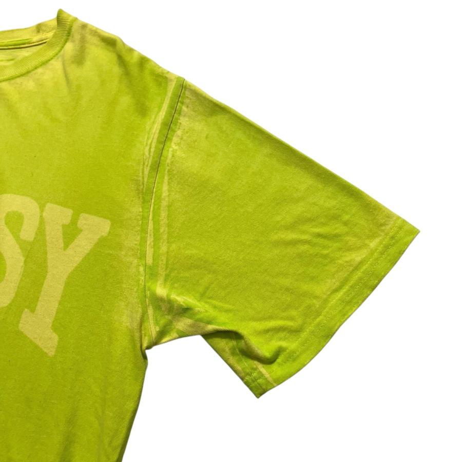 STUSSY（ステューシー） 【値下げ】stussy BURLY STONE WASHED TEE