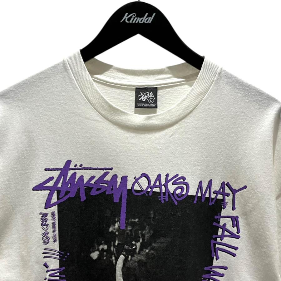 STUSSY（ステューシー） stussy 90's フォトTシャツ ホワイト サイズ