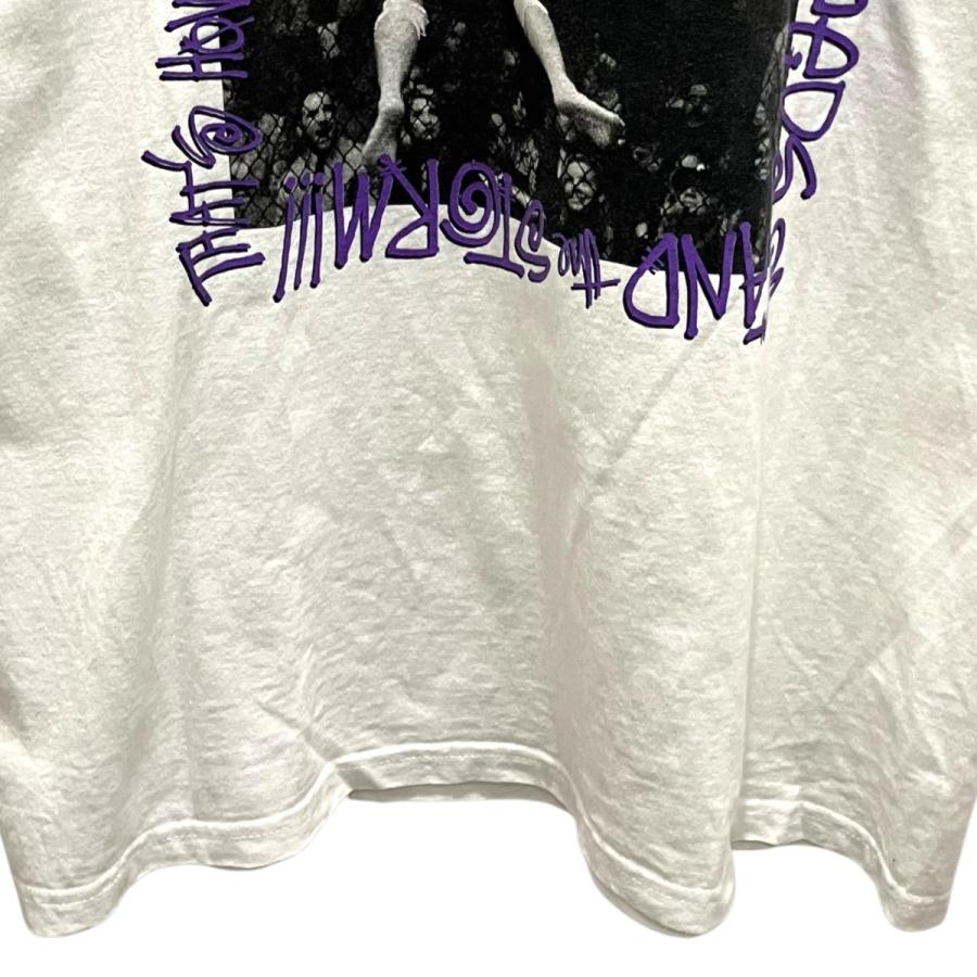 STUSSY（ステューシー） stussy 90's フォトTシャツ ホワイト サイズ