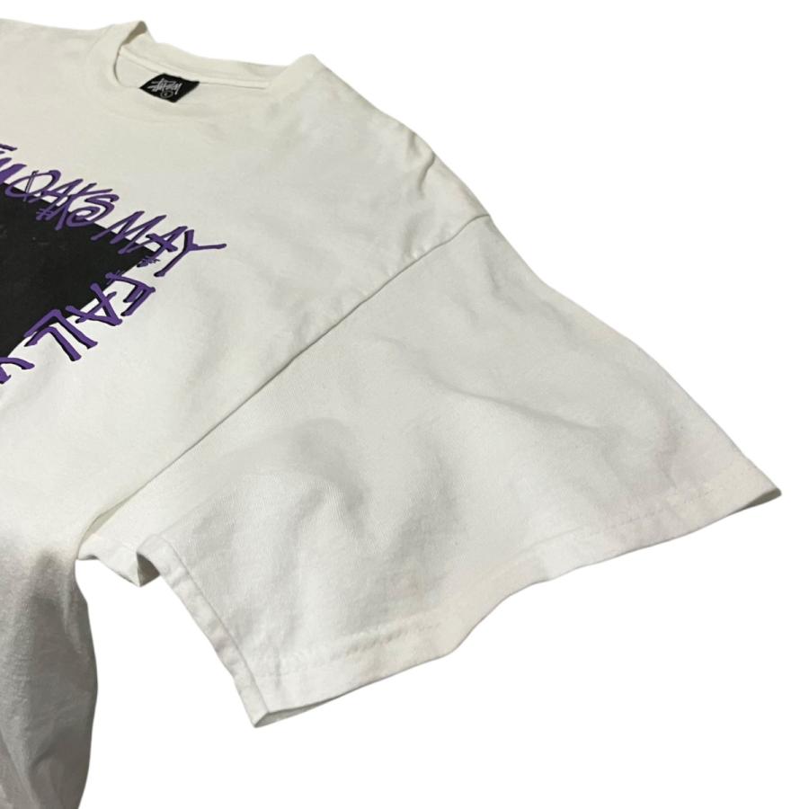 STUSSY（ステューシー） stussy 90's フォトTシャツ ホワイト サイズ