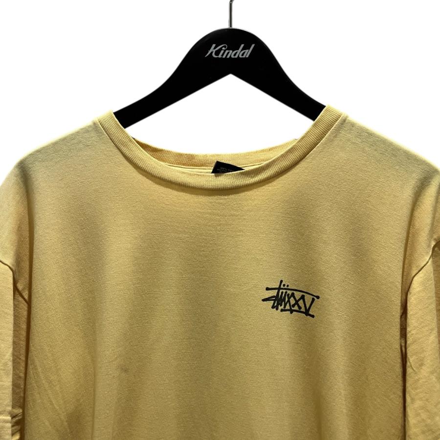 STUSSY（ステューシー） stussy 00s 【25th SKULL】 半袖Tシャツ