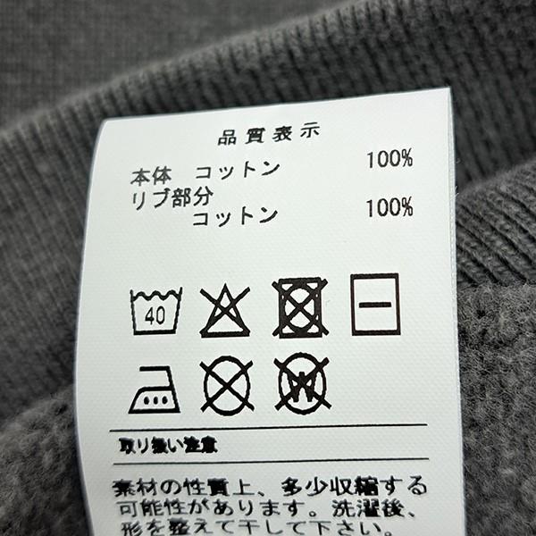 DESCENDANT ディセンダント DESCENDANT VOIL HENLEY NECK PIGMENT DYE