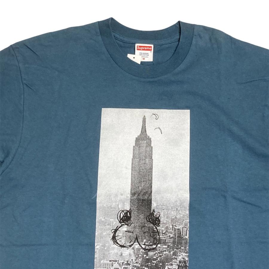 SUPREME 2018AW Mike Kelley The Empire State Building Tee ブルー サイズ：M (神戸