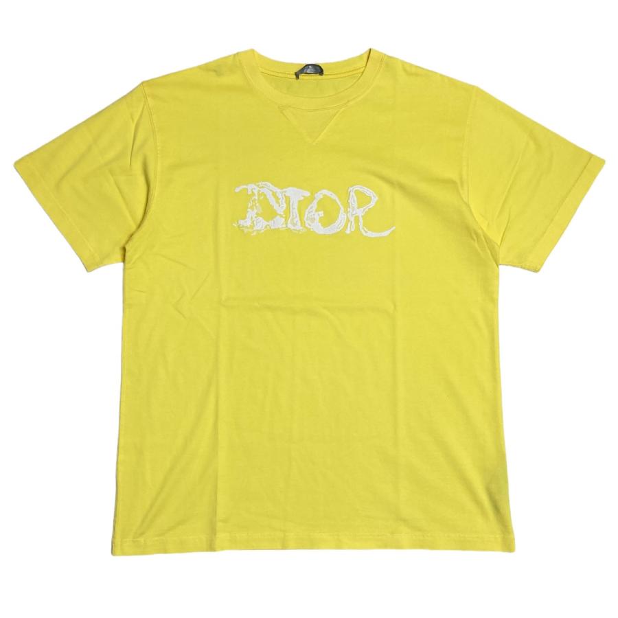 値下げ】DIOR×PETER DOIG 2021AW OVERSIZED TEE オーバーサイズ半袖T