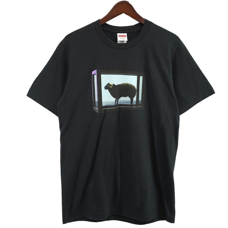 Supreme シュプリーム 25SS Damien Hirst Tee バックロゴ フォト