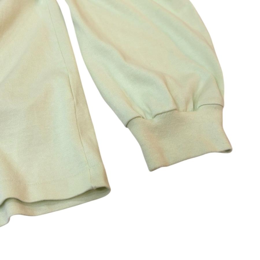 AURALEE（オーラリー） AURALEE 24AW LUSTER PLAITING HI NECK L S TEE