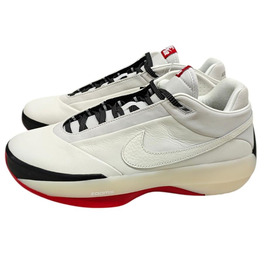 NIKE（ナイキ） NIKE AIR JORDAN 40 GO PF CHICAGO スニーカー