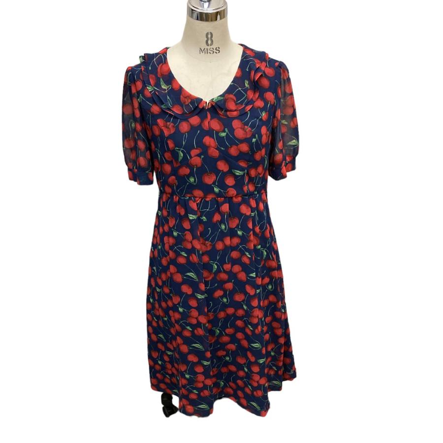 ジェーンマープルドンルサロン　ワンピース ジェーンマープルドンルサロン、“チュール×フラワー刺繍”のワンピース