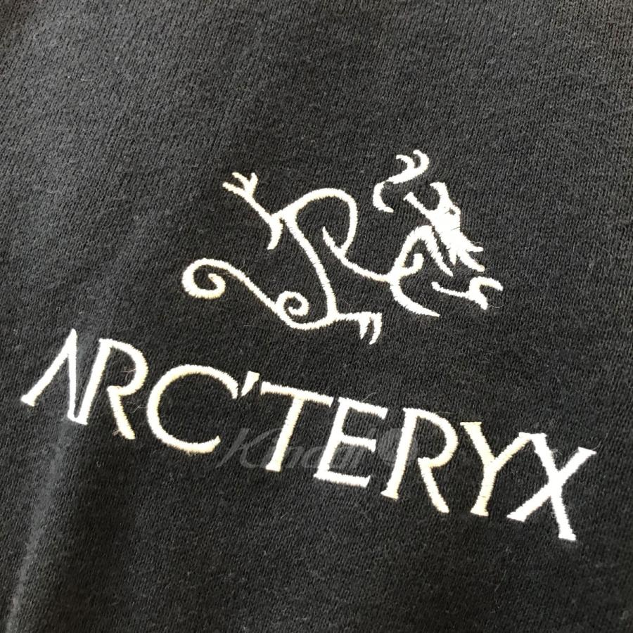 private brand by s．f．s ARCTERYX 「Bootleg Alleyway Dragon Track 