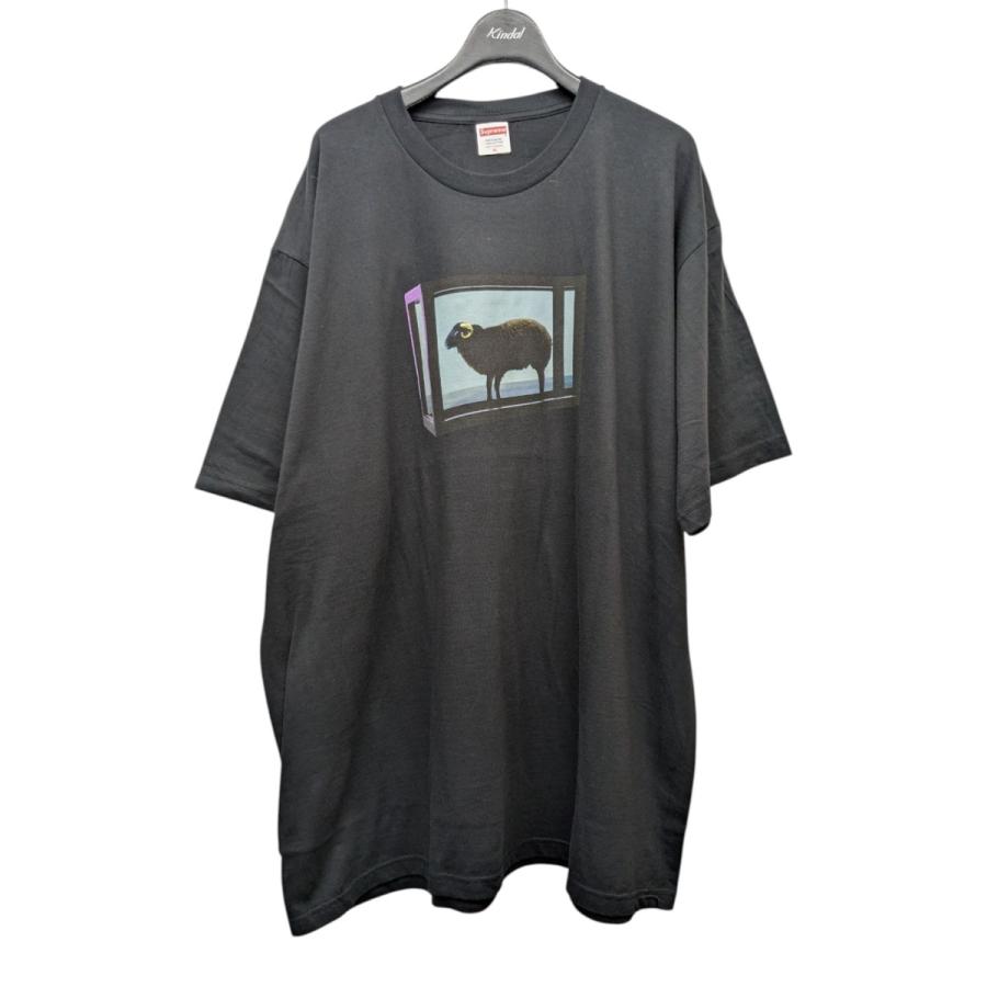 Supreme（シュプリーム） Supreme 25SS Damien Hirst Tee プリントT