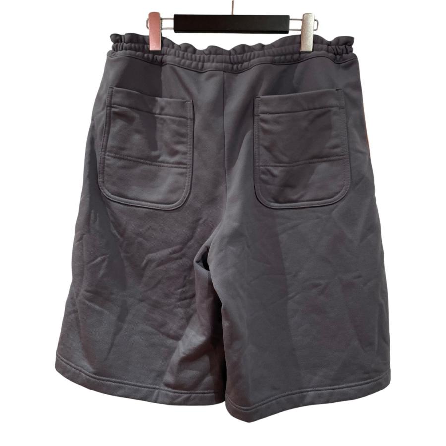 COMME des GARCONS HOMME DEUX コムデギャルソンオムドゥ AD2024
