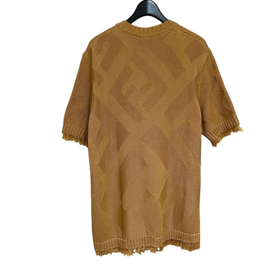 FENDI（フェンディ） 【値下げ】FENDI フリンジニット FZX144 AN3T