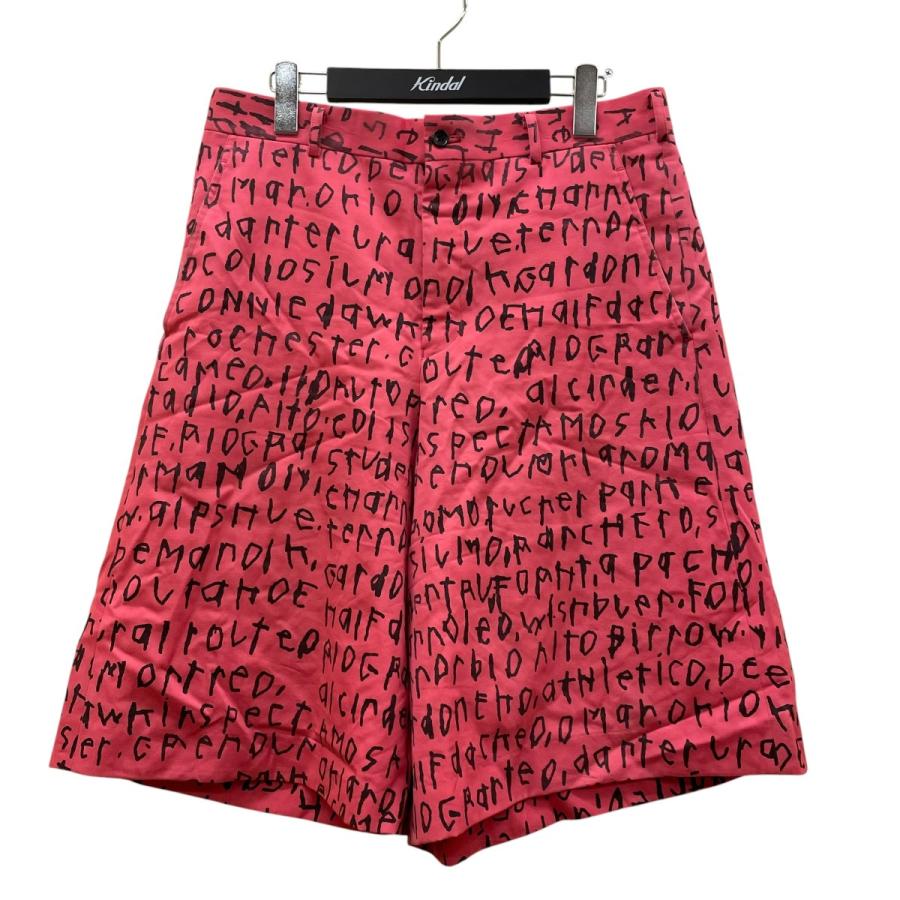 COMME des GARCONS HOMME PLUS コムデギャルソンオムプリュス 23AW 