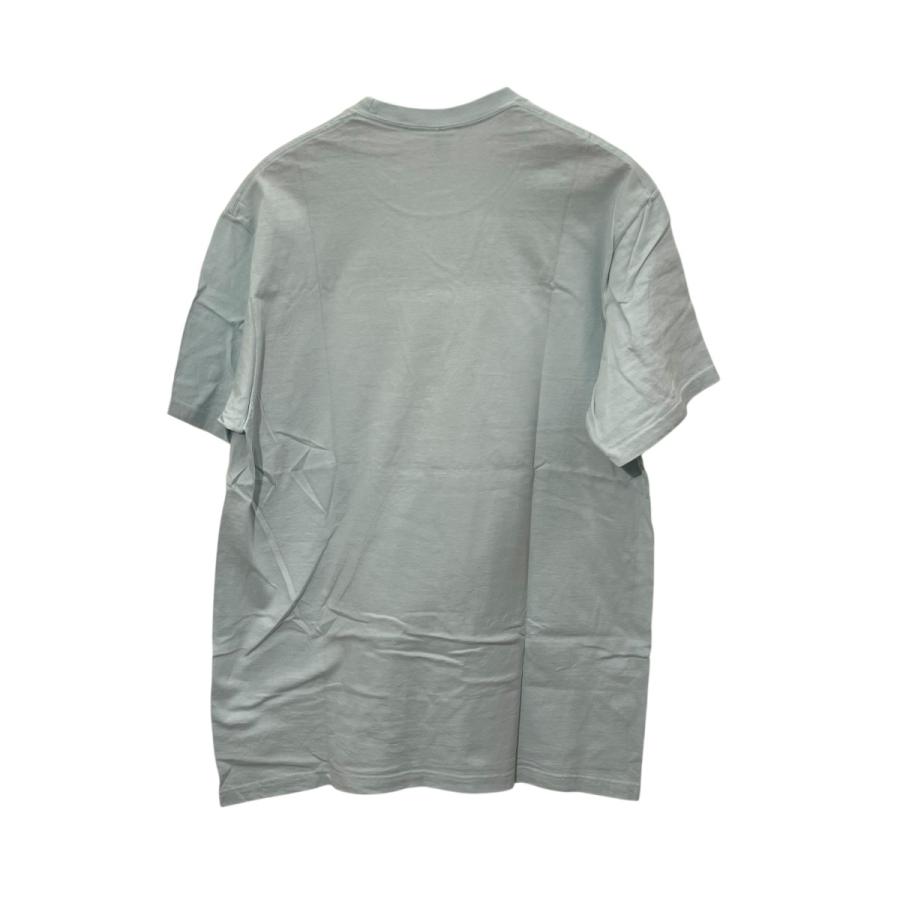 Supreme（シュプリーム） Supreme Knowledge Tee 半袖Tシャツ ライト 