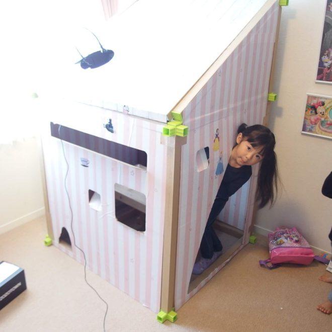 段ボールハウス_カカポ Type1の画像