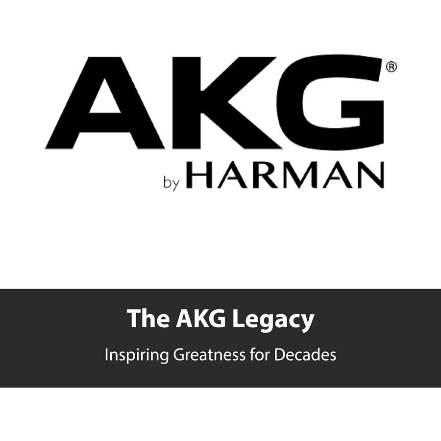 AKG P120 Project Studio Line コンデンサーマイクロフォン XLR 