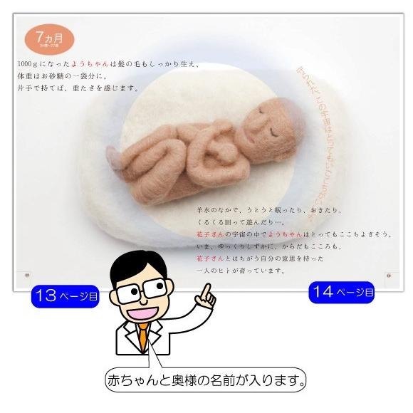 誕生日プレゼント 名入れ 絵本 妻 嫁 女性 妊婦 オリジナル絵本 いのちのおもさ Oms Brth 記念de絵本ブックストア 通販 Yahoo ショッピング