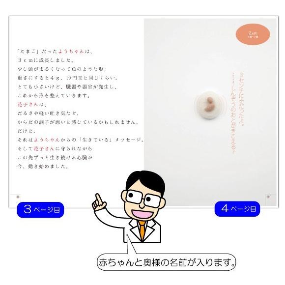 誕生日プレゼント 名入れ 絵本 妻 嫁 女性 妊婦 オリジナル絵本 いのちのおもさ Oms Brth 記念de絵本ブックストア 通販 Yahoo ショッピング