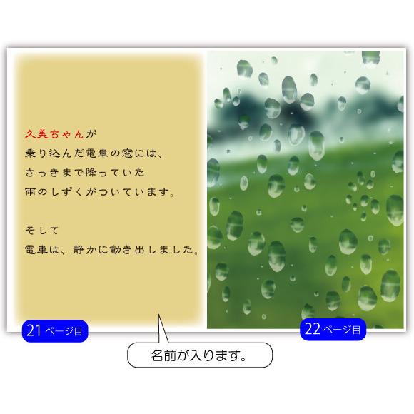 妻 嫁 誕生日プレゼント 絵本 30代 40代 人気 名入れ 名前入り サプライズ 世界にひとつ オリジナル絵本 The birthdayの画像