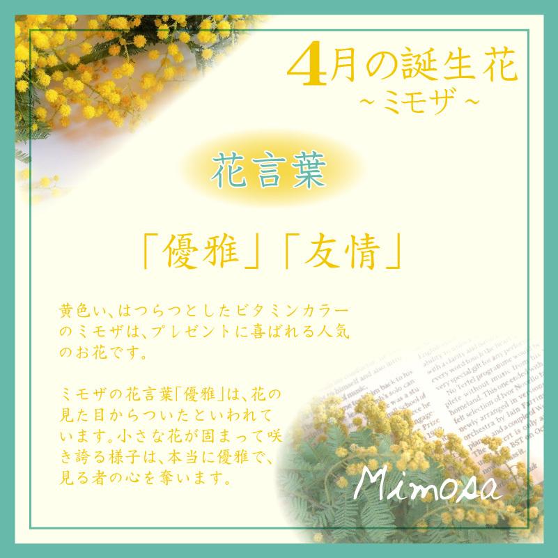 4月生まれ 名入れ キャンドルホルダー 誕生花 ミモザ ジェル キャンドル ホルダー プリザーブドフラワー Fc21 04 記念屋atelier Ryokuei 通販 Yahoo ショッピング