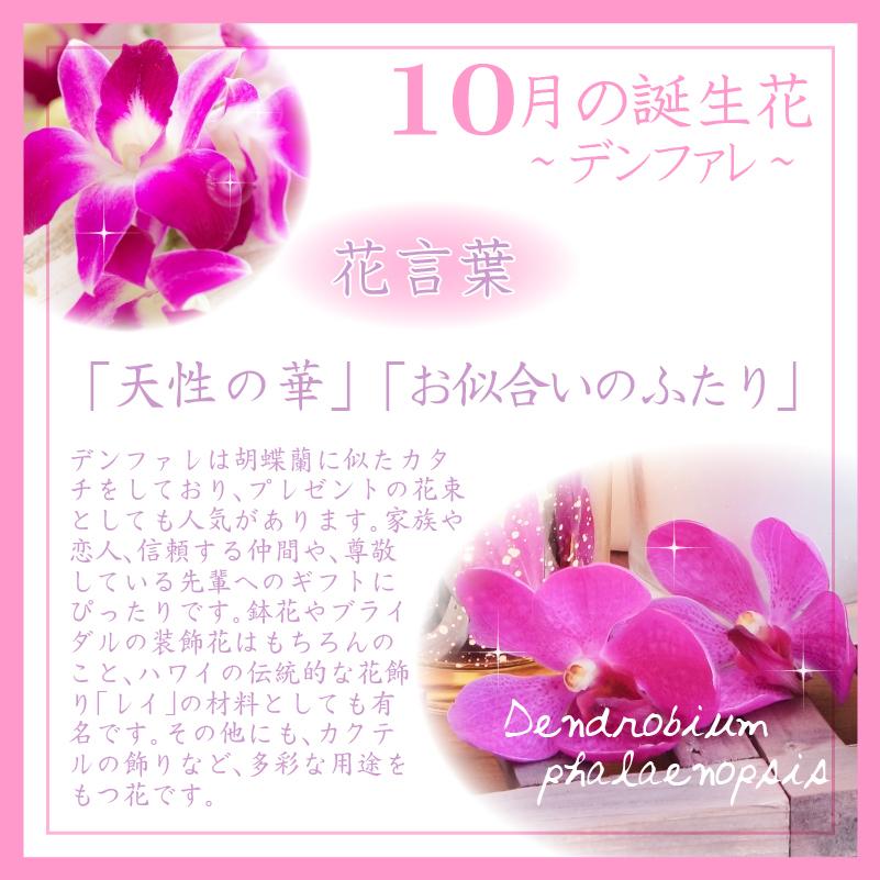 10月生まれ 名入れ 誕生月 キャンドルホルダー 誕生花 デンファレ ジェル キャンドル ホルダー プリザーブドフラワー Fc21 10 記念屋atelier Ryokuei 通販 Yahoo ショッピング