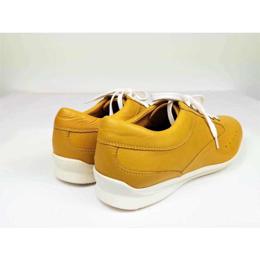 貴重 黄箱時代 John Lobb シューツリー 6E ジョンロブ 貴重 黄箱