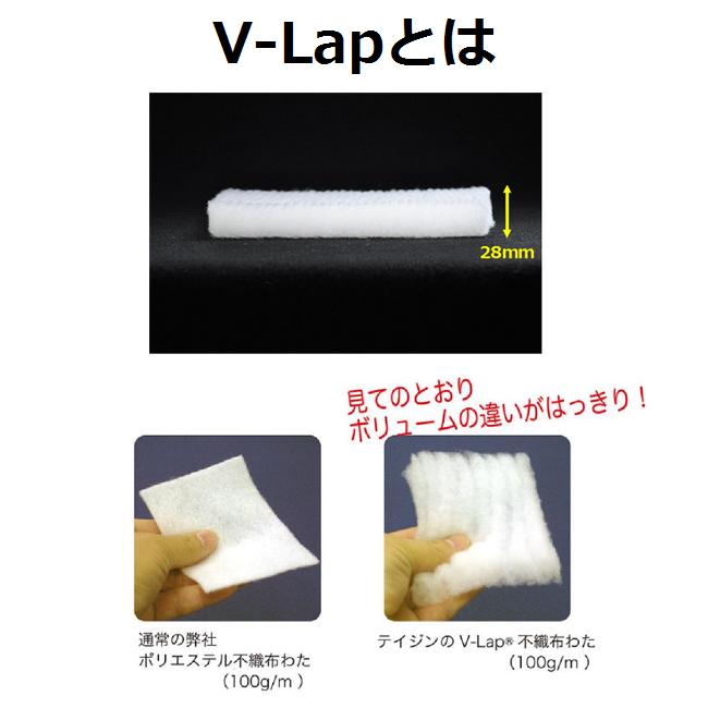 TEIJIN あったか掛け毛布 ダブル【HS】テレビ ＴＶ ＣＭ  v-lap ブランケット 高機能 軽量 掛布団 掛ふとん 掛け布団 かけ布団 掛布団 かけぶとん 人工羽毛｜king｜03