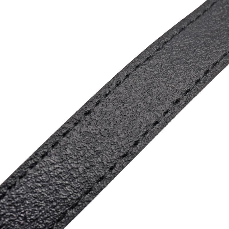 LUMIX 送料無料 新品 パナソニック(Panasonic) Gストラップ GF10