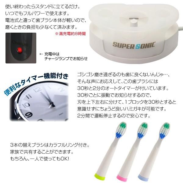充電式電動歯ブラシ 音波振動 替えブラシ付き 音波歯ブラシsg 909 Sg 909 Kingdom 通販 Yahoo ショッピング