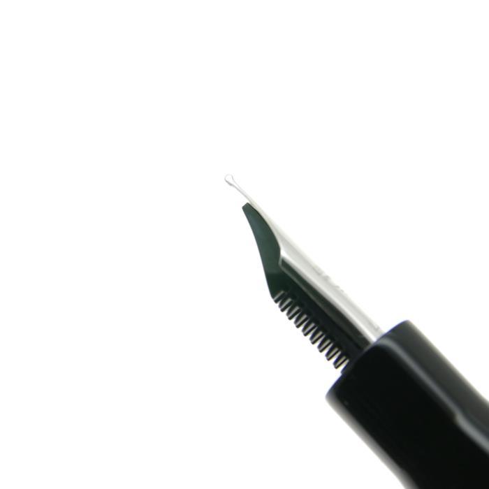 Leonardo Officina Italiana レオナルド 万年筆 エテルニタ