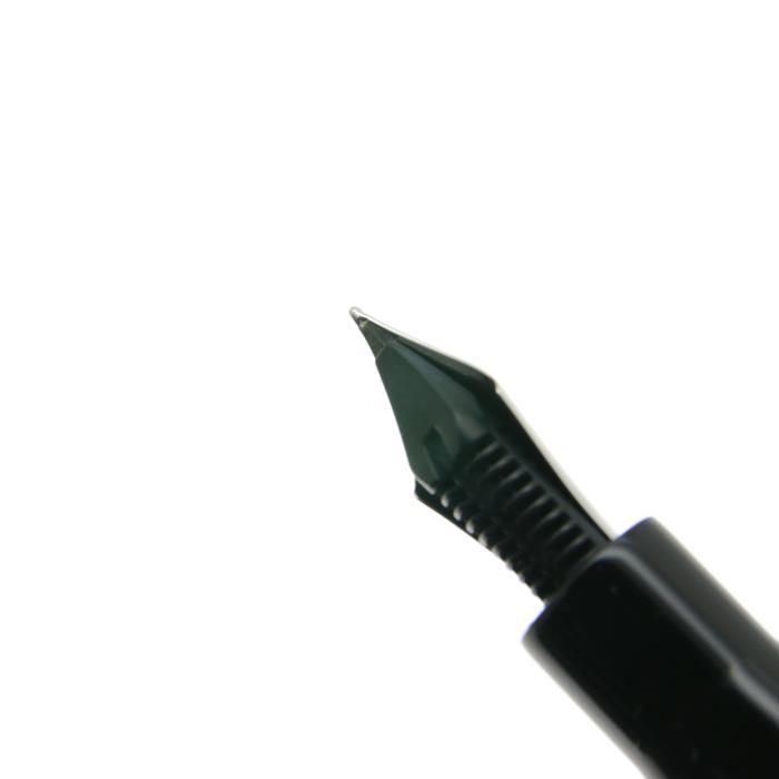 万年筆 エテルニタ・アヴァンティ 両用式 CT レオナルド キングダムノート×レオナルド 別注万年筆 「エテルニタ