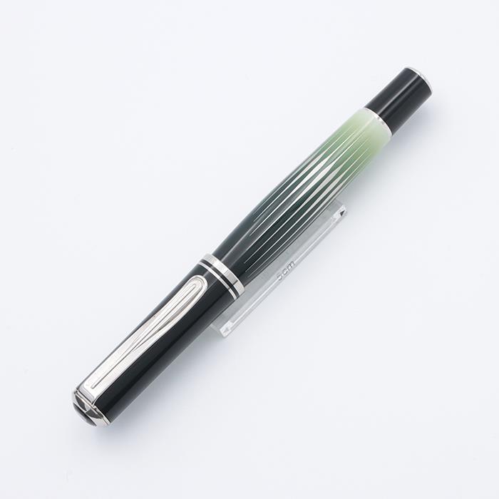 【値下げ不可】ペリカン 万年筆 自然の美観シリーズ M640 ポーラーライト M Pelikan（ペリカン） 万年筆 自然の美観シリーズ M640 ポーラーライト