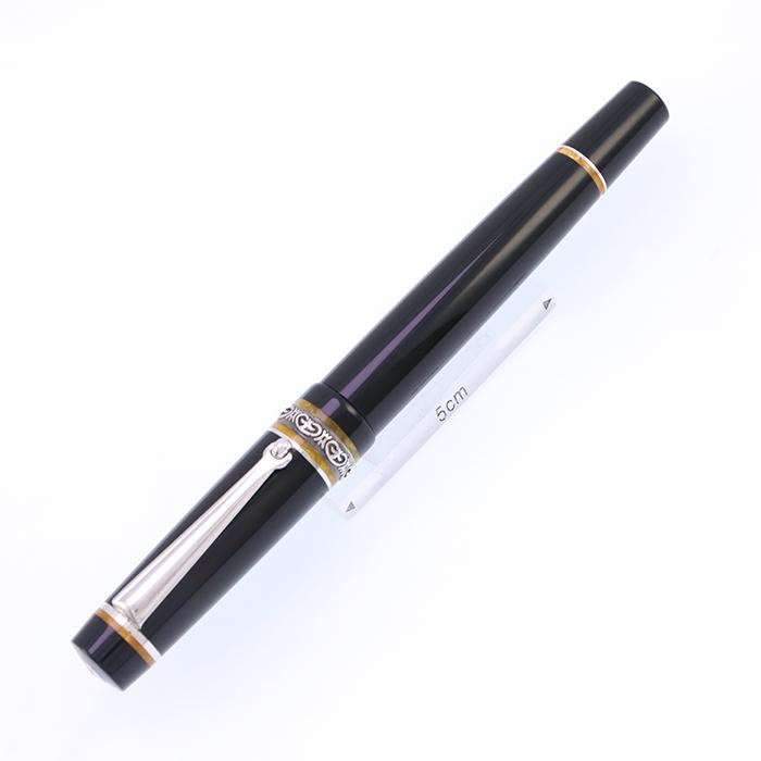 廃盤品　稀少　デルタ　万年筆　ドルチェビータ　スリム　ソワレ　m デルタ 万年筆 ドルチェビータ ソワレ スリム M 中古-良品 SAS