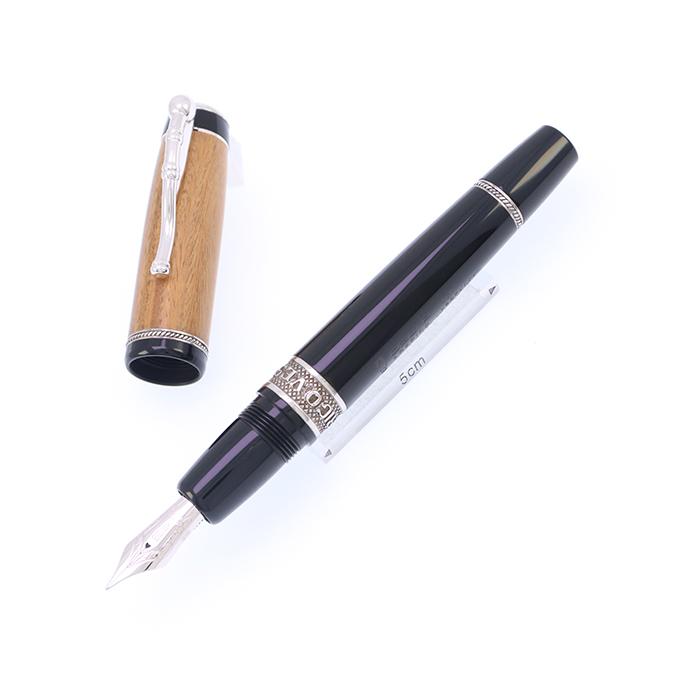 デルタ 万年筆 リミテッドエディション アメリゴ・ヴェスプッチ 1K