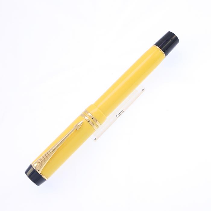 PARKER デュオフォールド クロワゾネ リミテッドエディション　万年筆 PARKER 万年筆 パーカー リミテッドエディション デュオフォールド