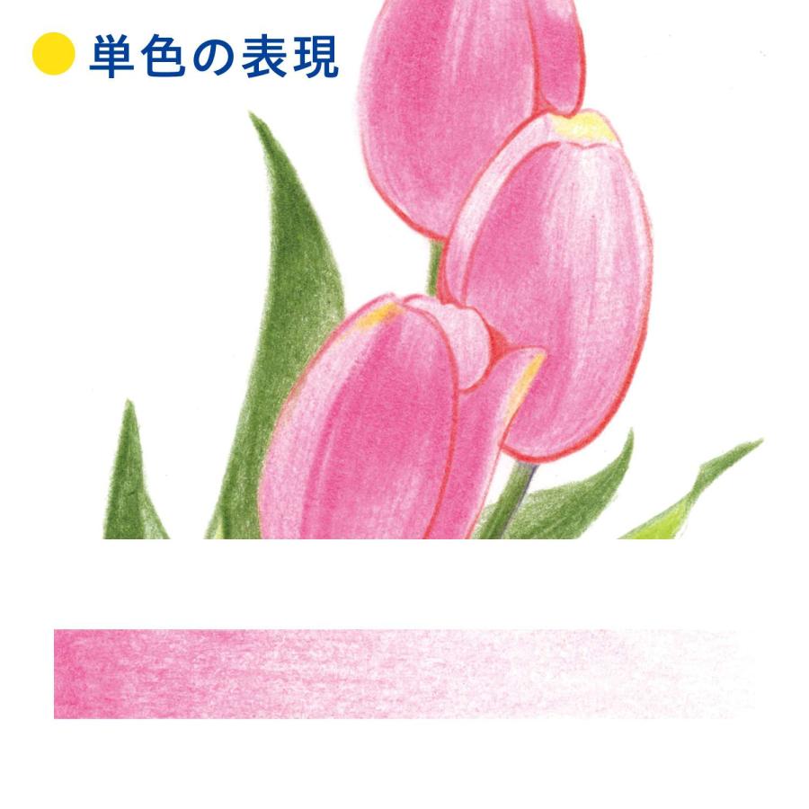 Artline アートライン 色鉛筆 36色 セット | シヤチハタ | 03