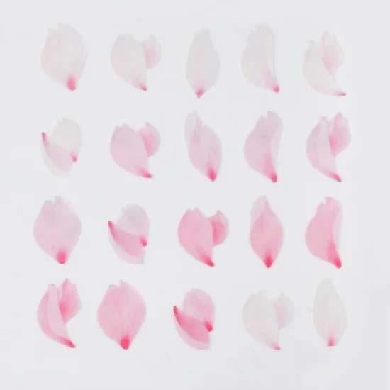 bande  1枚ずつめくれるマスキングテープ 桜の花びら-舞- | bande | 02